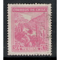 Чили - 1938 -  Горы | Кактусы | Пейзажи | Растения (флора) 30С - [Mi.236]