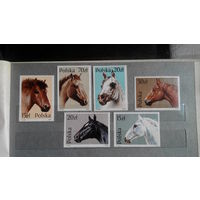Лошади, марки, фауна, Польша, 1989, большой размер
