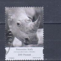 [568] Польша 2005. Фауна зоопарка.Носорог. Гашеная марка.