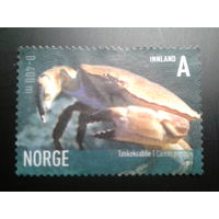 Норвегия 2007 морская фауна