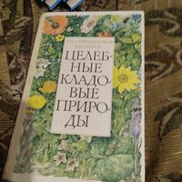 Л.И.Стекольников. В.И.Мурох.  Целебные коадовые природы.