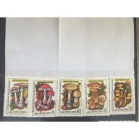 СССР 1986 год. Ядовитые грибы (серия из 5 марок)