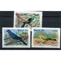 Бразилия. Птицы Бразилии