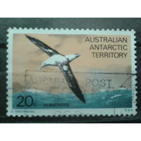 Антарктические территории 1973 Альбатрос