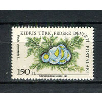 Турецкая Республика Северного Кипра - 1981 - Цветы 150L - [Mi.104] - 1 марка. MH.  (Лот 99Dk)