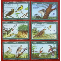 Куба. Птицы. ( 6 марок ) 1976 года. 4-2.