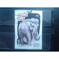 1964 Слон без перф.