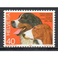 Собаки Швейцария 1983 год 1 марка