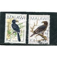 Малави. Птицы