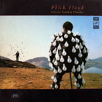 Pink Floyd, Delicate Sound Of Thunder, 2lp 1988