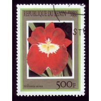 1 марка 1999 год Бенин Орхидея 1157