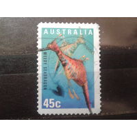 Австралия 1998 Морская фауна