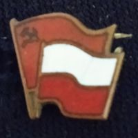 СССР – Польша. Тяжелый металл. Самодельная заколка.