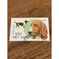 Вьетнам 1989. Охотничьи собаки. Марка из серии