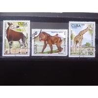 Куба 1978 Фауна Африки