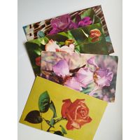 Цветы. 4 открытки. Чистые