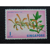 Сингапур. Флора.