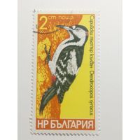 Болгария 1978. Птицы. Дятлы.