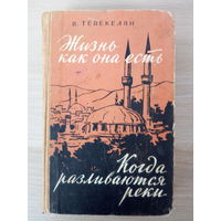 Жизнь как она есть. Когда разливаются реки.