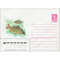 Художественный маркированный конверт СССР N 85-564 (27.11.1985) [Карп зеркальный]