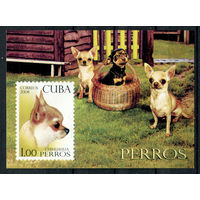 Куба - 2008г. - Собаки - полная серия, MNH [Mi bl. 247] - 1 блок