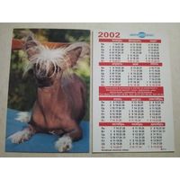 Карманный календарик. Собака. Китайская хохлатая. Мингорсоюзпечать. 2002 год