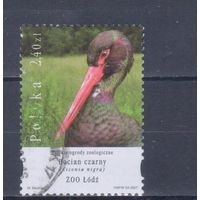 [165] Польша 2007. Фауна зоопарка.Птицы.Черный.аист. Гашеная марка.