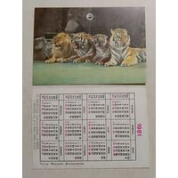Карманный календарик. Цирк. Тигры Михаила Багдасарова. 1981 год