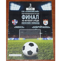 2013 Минск - Бобруйчанка (финал кубка)