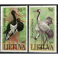 Птицы из Красной книги Литвы