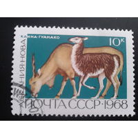 СССР 1968 фауна