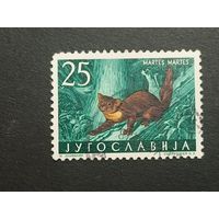 Югославия 1960. Местная фауна – млекопитающие