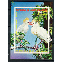 Экваториальная Гвинея - 1976 - Птицы Африки - [Mi. bl. 247] - 1 блок. MNH.