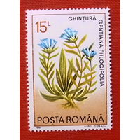 Румыния. Цветы. ( 1 марка ) 1993 года.