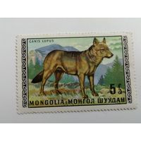 Монголия 1970. Дикие животные