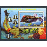 Экваториальная Гвинея - 1978г. - Рыбки - полная серия, MNH [Mi bl. 312] - 1 блок