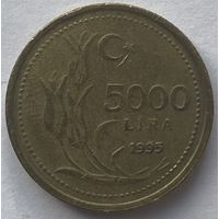 Турция 5000 лир 1995 г.