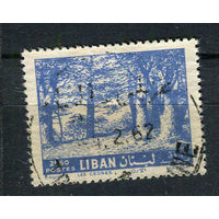 Ливан - 1961 - Кедровый лес 2,5 Pia - [Mi.734] - 1 марка. Гашеная.  (Лот 95BW)