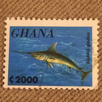 Гана. Фауна. Рыбы