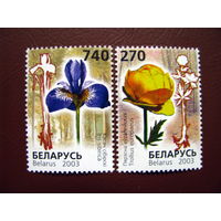 Беларусь 2003 Красная книга. Цветы