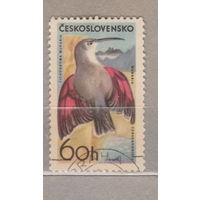 Птицы  Фауна Чехословакия  лот 1007