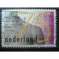 Нидерланды 1988 75 лет противоракового института