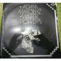 Adam Makowicz	Winter flowers