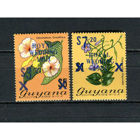 Гайана - 1981 - Свадьба принца Чарльза и Дианы Спенсер. Надпечатки - [Mi. 616b-617b] - полная серия - 2 марки. MNH.  (LOT EF3)-T10P1