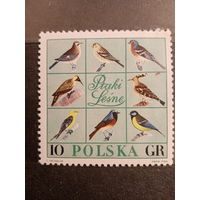 Польша 1966. Птицы Польши