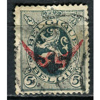 Бельгия - 1929/1931 - Герб 5С с надпечаткой. Dienstmarken - (есть тонкое место) - [Mi.6d] - 1 марка. Гашеная.  (Лот 38EW)-T25P3