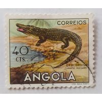 Ангола Крокодил