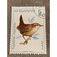 Болгария 1987. Птицы. Troglodytes. Марка из серии