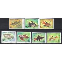 Аквариумные рыбы Вьетнам 1984 год  серия из 7 марок