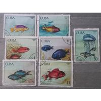 Куба. 1969г. Фауна. Рыбы.